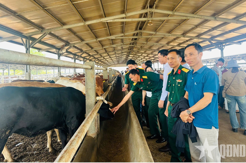 Trung đoàn 726 tham quan, học tập mô hình sản xuất phân bón hữu cơ