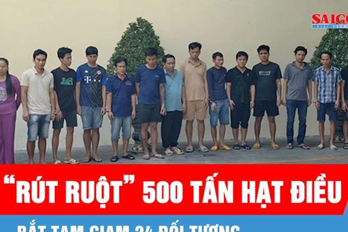 Vụ 'rút ruột' 500 tấn hạt điều: Bắt 24 đối tượng