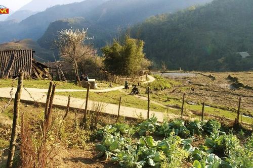 Diện mạo Điện ảnh Việt Nam 40 năm Đổi mới