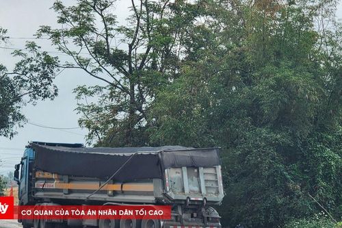 Nghệ An tổng rà soát hơn 2.200 xe tải trên 15 tấn