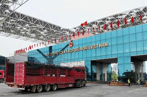 Móng Cái - Đông Hưng: Thông quan 7 ngày/tuần sắp thành hiện thực?