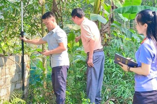 Tăng cường phối hợp xem xét, thẩm định tại chỗ, nâng cao chất lượng giải quyết án
