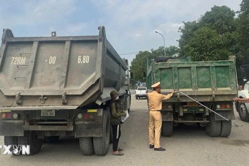 TP Hồ Chí Minh tổng rà soát hơn 6.400 xe tải tự đổ, siết chặt an toàn giao thông