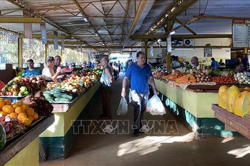 Cuba tăng cường hợp tác giữa các doanh nghiệp nhà nước và khu vực tư nhân