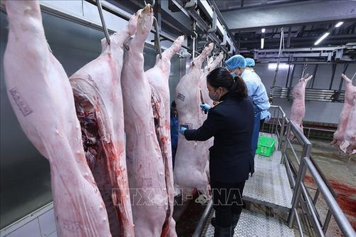 An toàn thực phẩm học đường: Rà soát, siết chặt hệ thống quản lý một cách thực chất