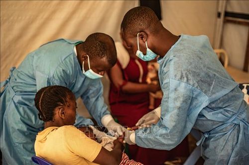 CHDC Congo tuyên bố chấm dứt tình trạng khẩn cấp do dịch bệnh đậu mùa khỉ