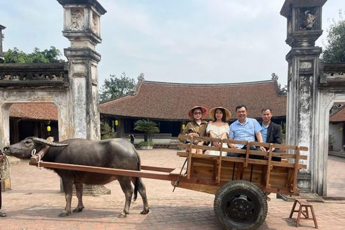 Đi xe trâu khám phá làng cổ Đường Lâm