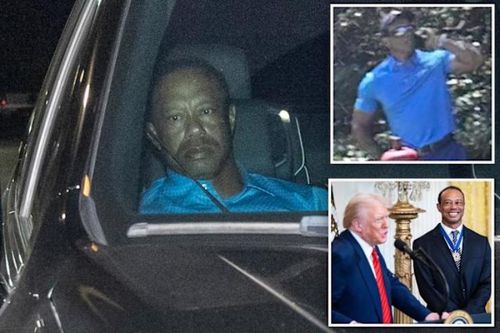 Video chấn động: Tiger Woods 'cầu cứu' Tổng thống Trump vẫn bị còng tay, trùm đầu
