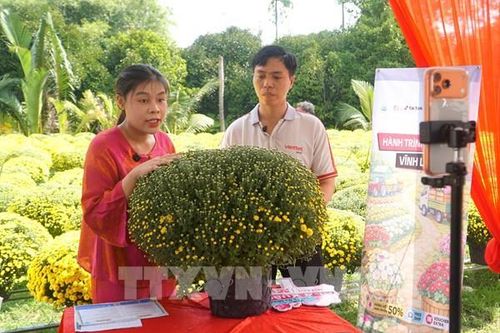 Định vị giá trị nông sản Việt trong kỷ nguyên thương mại điện tử