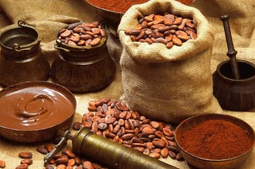 Doanh nghiệp Việt chinh phục thị phần cà phê – ca cao chất lượng cao