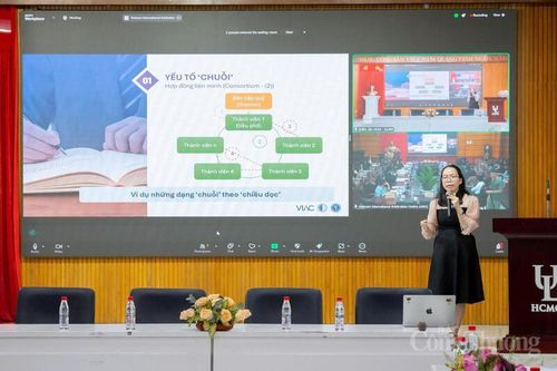 Quản trị tranh chấp chuỗi: Từ thực tiễn đến yêu cầu hoàn thiện pháp lý