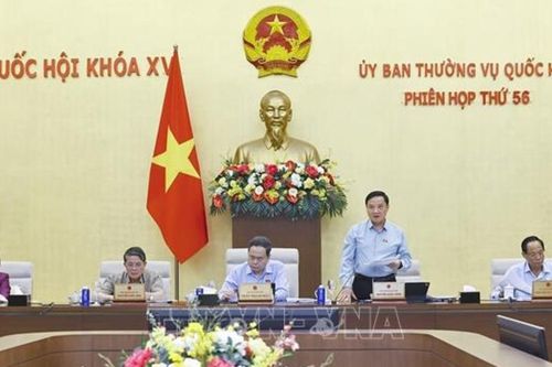 Thông qua Đề án 'Tổng rà soát hệ thống văn bản quy phạm pháp luật'
