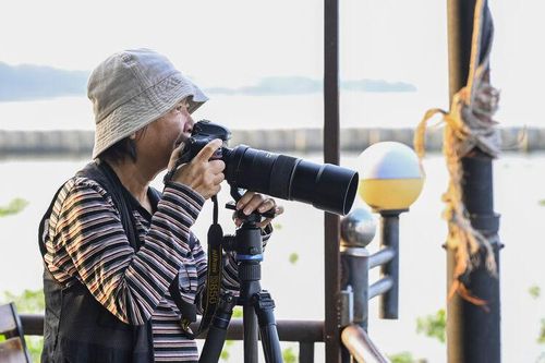 Tuổi 72 vẫn cầm máy
