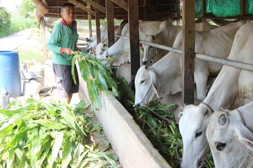Lợi nhuận kép từ mô hình 2B
