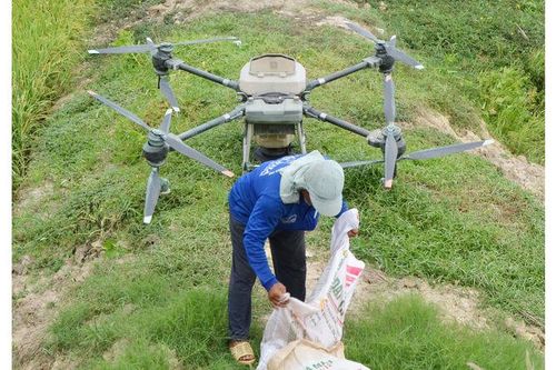 Nông dân phun thuốc bằng drone