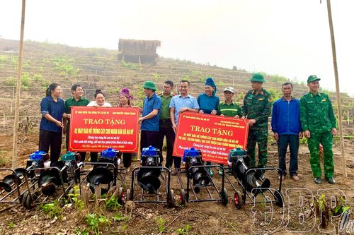 Nà Hỳ ra quân đào 7.300 hố trồng cây mắc ca, cà phê