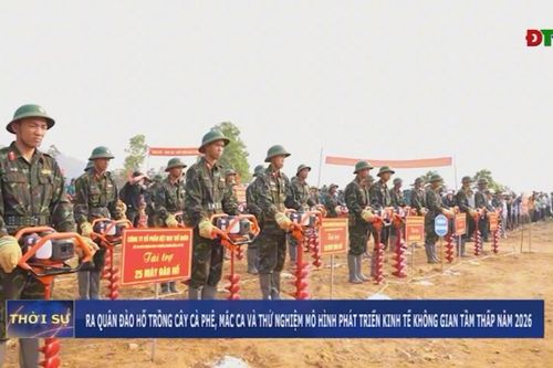 Ra quân đào hố trồng cây cà phê, mắc ca và thử nghiệm mô hình phát triển kinh tế không gian tầm thấp năm 2026