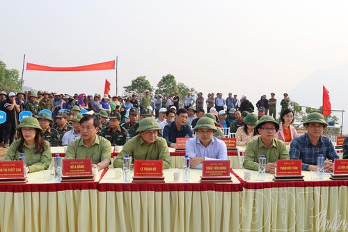 Điện Biên đồng loạt ra quân đào hố trồng cây cà phê, mắc ca