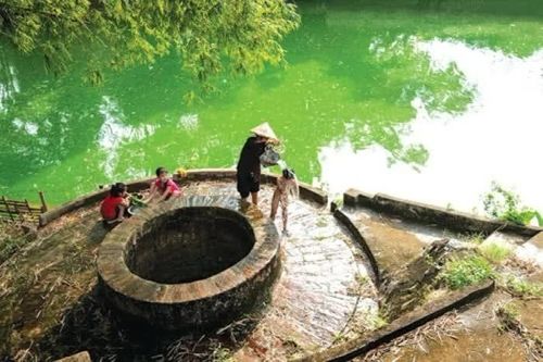 Nhớ giếng nước quê nhà