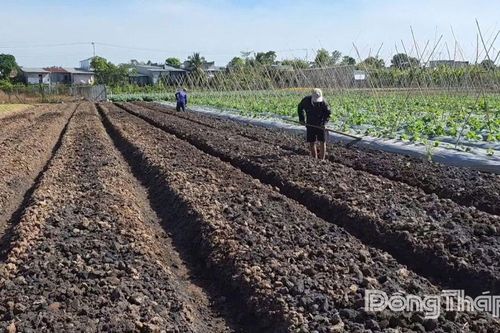 Nông dân chủ động bảo vệ sản xuất trong mùa nắng nóng