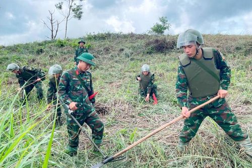 Hồi sinh vùng 'đất chết'