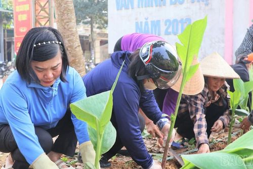Hội Liên hiệp Phụ nữ xã Lục Yên triển khai mô hình 'Dân vận khéo - hàng rào xanh'