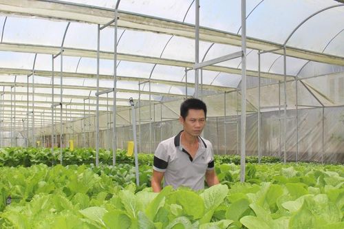 Siết quản lý vật tư, bảo vệ sản xuất nông nghiệp tại Lâm Đồng