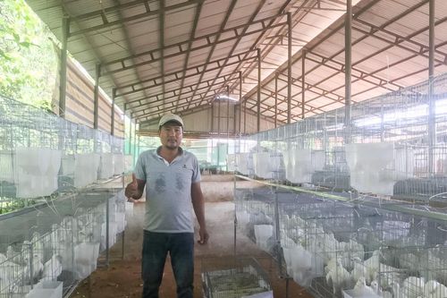 Chăn nuôi tuần hoàn trên đất cát