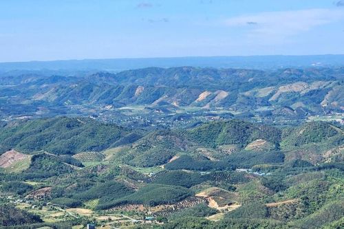 Giữ vững 'lá phổi xanh'