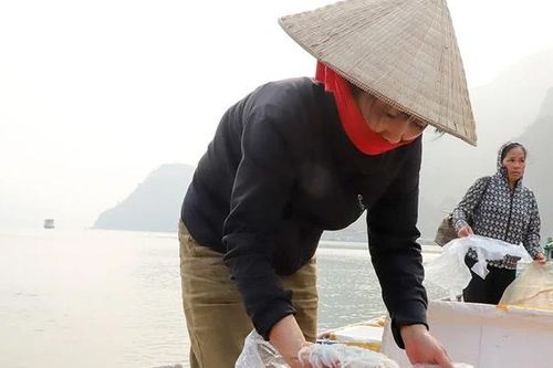 Săn 'cá thủy tinh' giữa dòng Đà giang