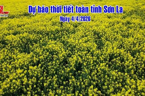 Dự báo thời tiết toàn tỉnh Sơn La ngày 04/4/2026