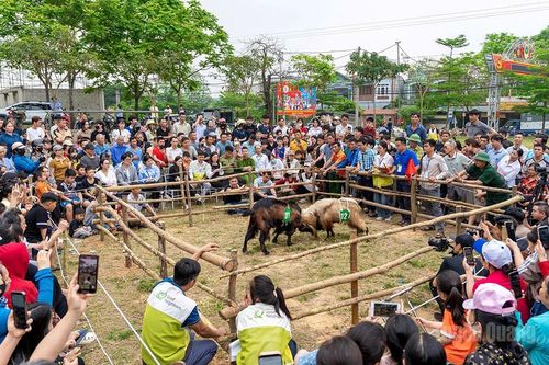 Đổi đời ở Phú Lương