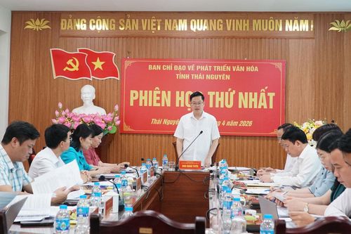 Phiên họp thứ nhất Ban Chỉ đạo về phát triển văn hóa tỉnh Thái Nguyên: Rà soát, cụ thể hóa nhiệm vụ