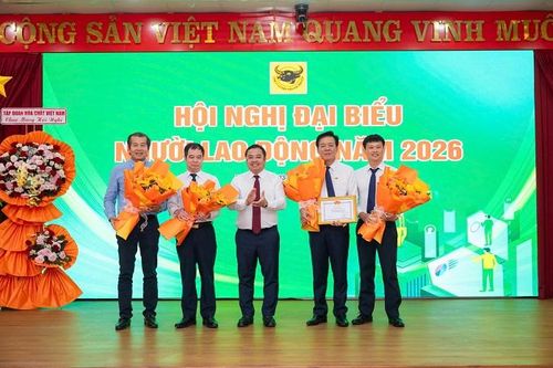 Phân bón Bình Điền vượt mốc doanh thu 10.000 tỷ đồng