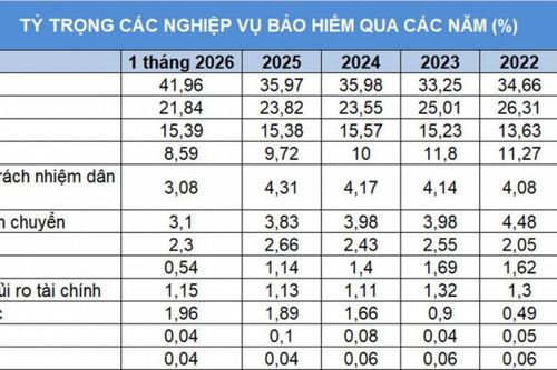 Sự dịch chuyển cơ cấu bảo hiểm phi nhân thọ và 'cuộc chơi' chiến lược