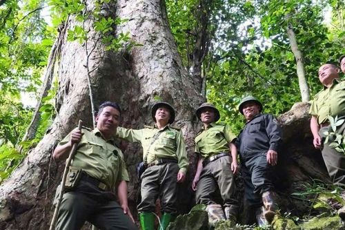 Tuyên Quang: Lâm Bình phát huy vai trò cộng đồng bảo vệ rừng