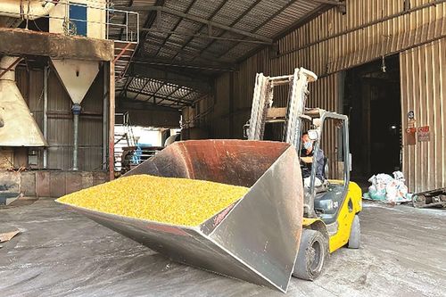 Giải bài toán giá thức ăn chăn nuôi
