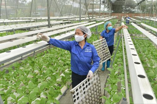 Tư duy mới trong ngành Nông nghiệp Hà Nội