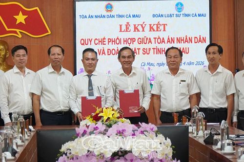 Tạo hành lang pháp lý minh bạch trong hoạt động tố tụng