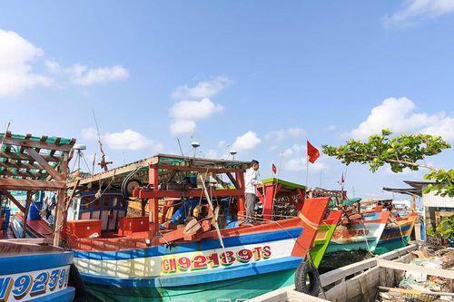 Nhiều tàu cá tạm ngưng hoạt động