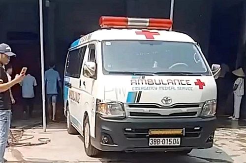 Cụ ông 83 tuổi bị chó béc-giê nuôi trong nhà cắn tử vong