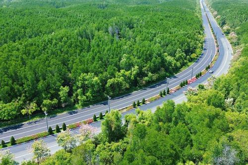 Siêu dự án 19.000 tỷ đồng: Vingroup đề xuất mở đường Rừng Sác lên 10 làn xe