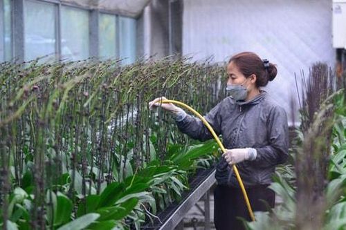Nông nghiệp đô thị Hà Nội cần thay đổi tư duy để mở đường tăng trưởng