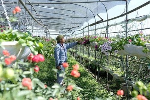 Tháo gỡ thể chế - 'chìa khóa' phát triển nông nghiệp Hà Nội theo hướng đa giá trị
