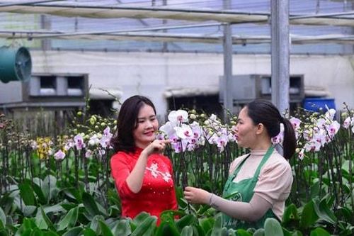 Nông nghiệp Hà Nội không thể đi theo lối cũ