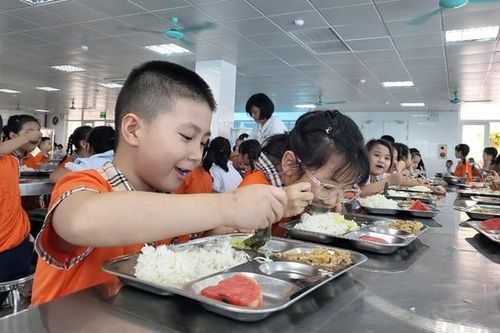Cấu trúc một khẩu phần ăn học đường chuẩn