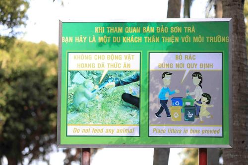 Ngăn chặn tình trạng cho khỉ ăn, xả rác tại Sơn Trà