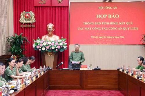 Thông tin mới nhất về các vụ án ONUS, Shark Bình, Mr. Pips, Hoàng Hường, Mailisa...