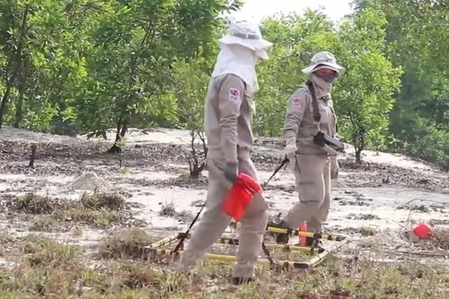 Ngày Thế giới phòng chống bom mìn 4/4: Quảng Trị hướng tới hiện thực hóa mô hình 'Tỉnh an toàn' vào năm 2035