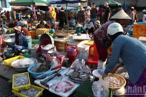 Thăm chợ Nại – nơi 'trên trời dưới cá', đậm vị biển